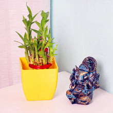 2 Layer Bamboo Plant With Ganesha