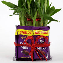 2 Layer Lucky Bamboo With Dairy Milk Chocolates