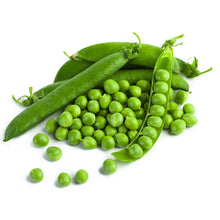 Green Pea Vegetable Imported seeds 20-30