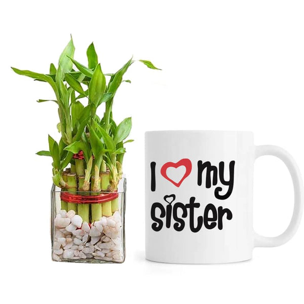 Personalized Mug with Bamboo Plant Indoor in Glass Pot