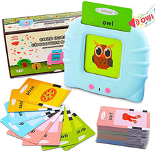 Talking Toy Flash Cards