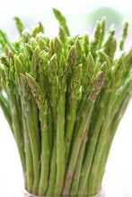 Asparagus Herb Seeds, Imported Seeds 40-50