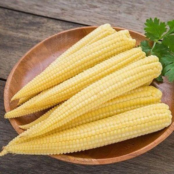 Baby Corn Imported seeds 40/50