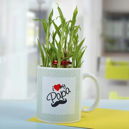 Bamboo In A Mug