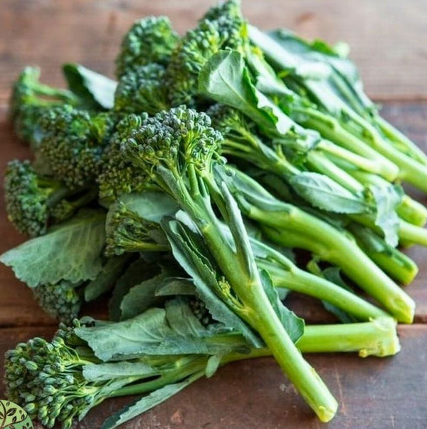 Broccoli Imported seeds 50-100