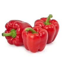 Capsicum Red Imported Seeds 30-40