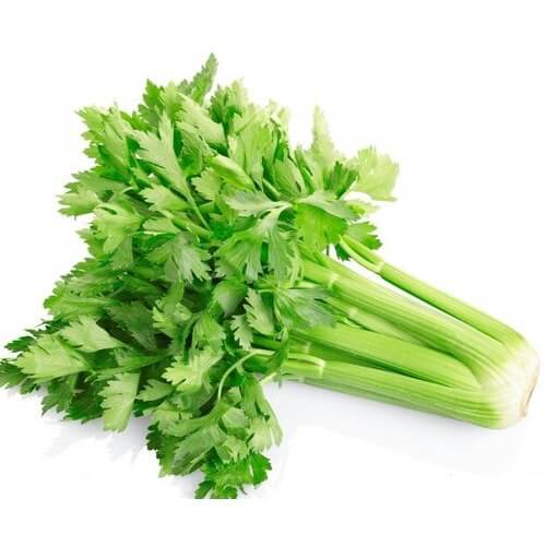 Celery Imported Seeds 50-100