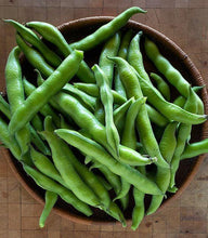 Fava Beans Vegetable Imported seeds 20-30