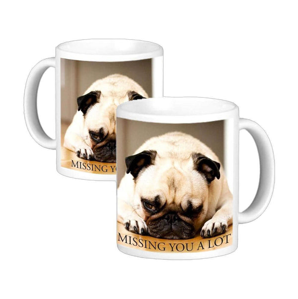 Missing You A Lot Coffee Mug Sets of 2 Pcs (350 mL)