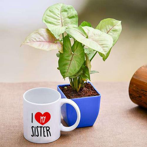 Personalized Mug with Syngonium Plant In Pot