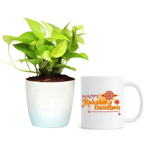 Personalized Mug with Golden Pothos Money Plant In Pot