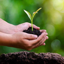 Vermicompost Khad Use for Indoor & Outdoor Plants