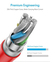 8A Warp Charging Type C Cable