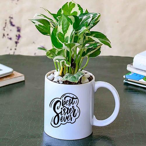 Personalized Mug with White Pothos Money Plant