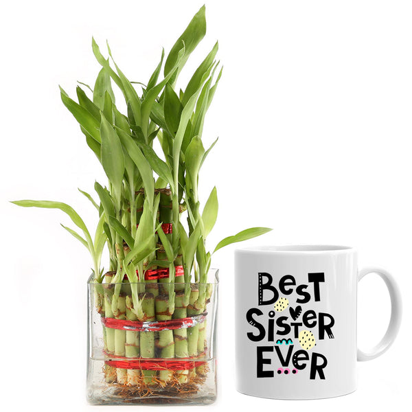 Personalized Mug With Plant For Sister