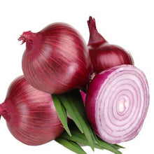 Onion Red Vegetable Imported seeds 50-100