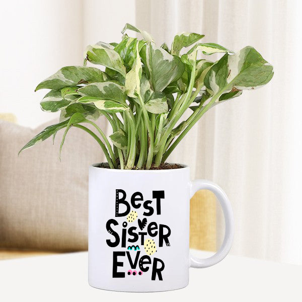 Personalized Mug With Plant For Sister