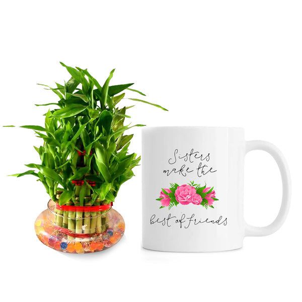 Personalized Mug with Bamboo Plant Indoor in Glass Pot (3 Layer Bamboo)