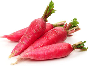 Radish Red Long Imported Vegetable seeds 50-100