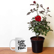 Personalized Mug with Red Rose Plant In Ceramic Pot