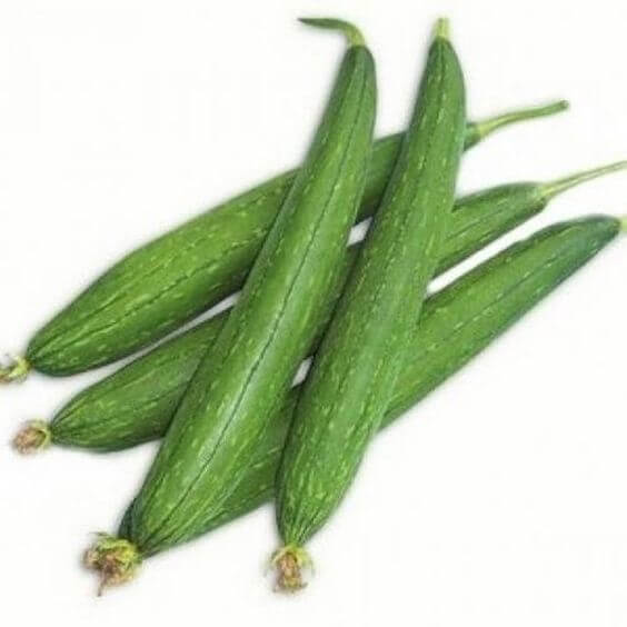 Sponge Gourd Imported Seeds 20-30