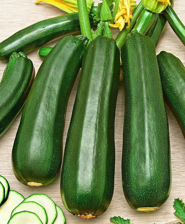 Squash Green Vegetable Imported seeds 20-30