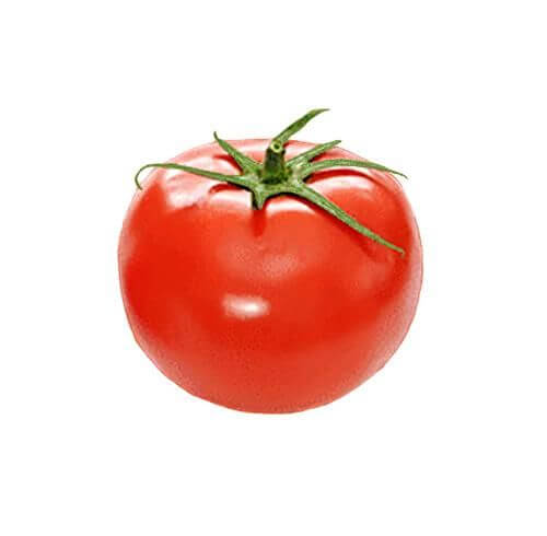 Tomato Ustad Imported Seeds 50-100