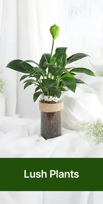 Personalised Name Pink Water Bottle – Custom Stainless Steel Insulated Bottle for Gym, Office & Travel thumbnail 4