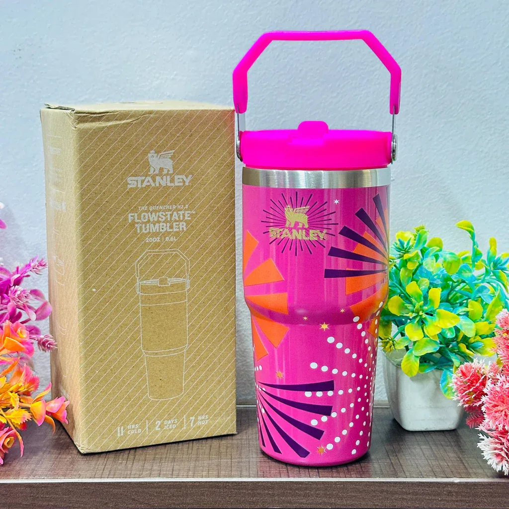 Stanley Mini Insulated Water Bottle 600ml - Stainless Steel Leak Proof Sipper with Handle